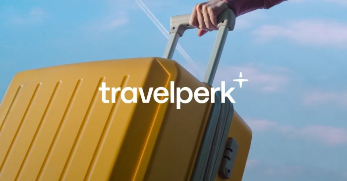 Corporate Travel Agency Provides National Business Travel