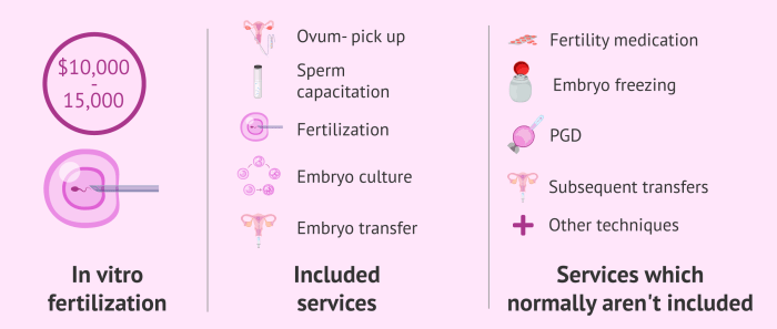 IVF Clinic Cost Per Cycle USA